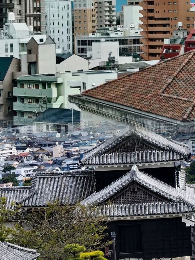 松山—四國之心的千年戀歌
