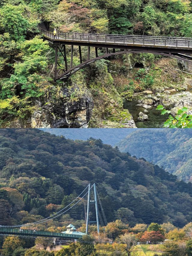 來到那須鹽原遊玩打卡攻略