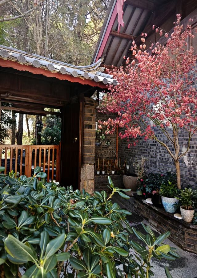 一方庭院，滿載悠閒時光