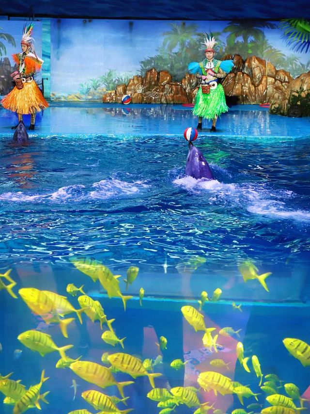 來海洋館解鎖小朋友心中的好奇心
