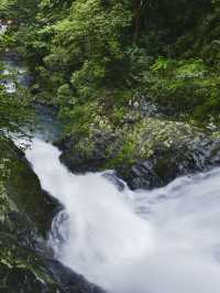 7日深度遊 江西南昌-廬山-婺源 美哭了別怪我