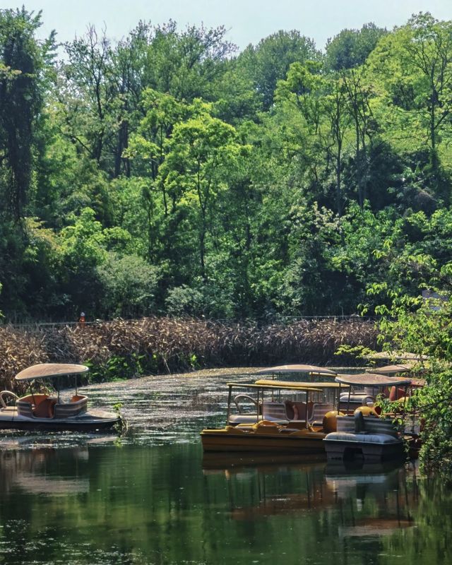 闖入現實版莫奈花園！花溪公園攻略