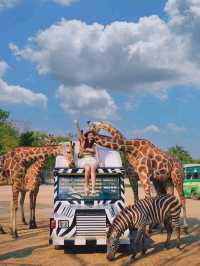 Safari Park Bangkok is Astonishingly Amazing😍❤️