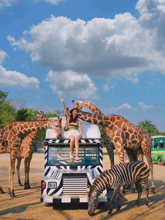 Safari Park Bangkok is Astonishingly Amazing😍❤️