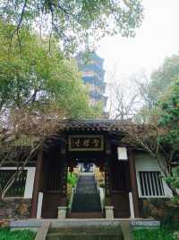 二山並峙之東山
