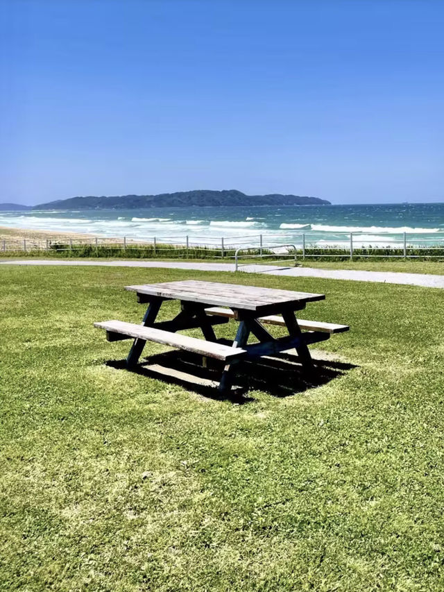 海風與繁花的輕語——海之中道海濱公園與能古島