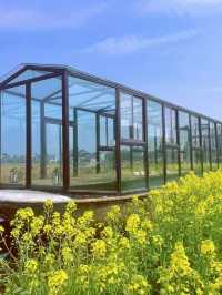 合肥周邊踏春好去處｜賞花浸私湯