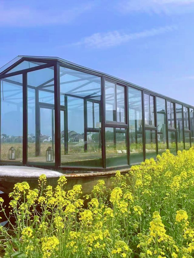 合肥周邊踏春好去處｜賞花浸私湯