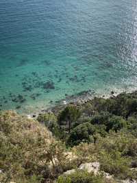 Heaven On Earth At The Coromandel, North Island NZ 