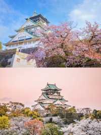 6日深度遊 解鎖日本的別樣風情