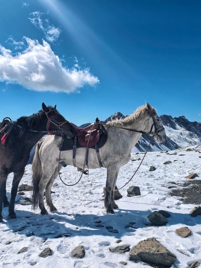 3天暢遊西寧等地 美景熱門一網打盡