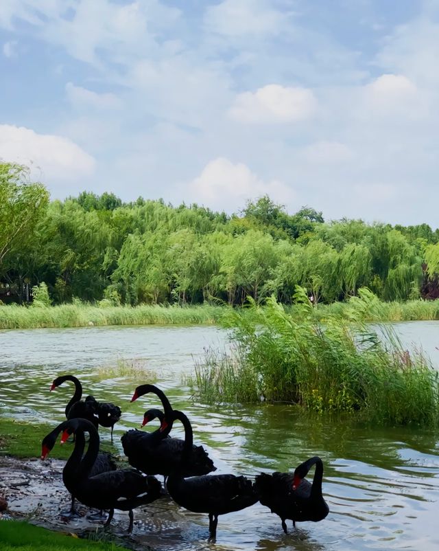 鄭州綠博園·國家4A級旅遊景區