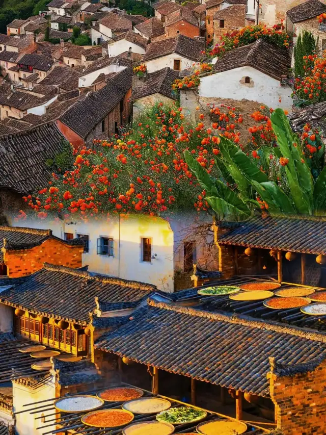 Come on, let me take you to see the rapeseed fields in Wuyuan this holiday