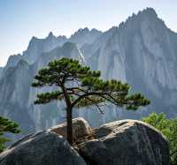 【華山極限挑戰：夜爬險峰與雲海日出的靈魂對話】