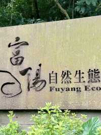 綠意低吟：富陽自然生態公園的晨光漫步