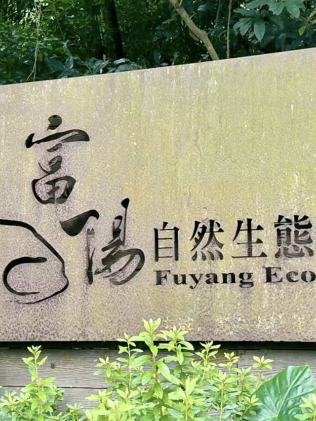綠意低吟：富陽自然生態公園的晨光漫步