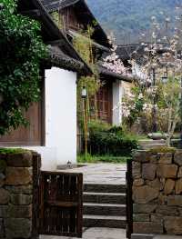 測評杭州法雲安縵，就在永福禪寺內