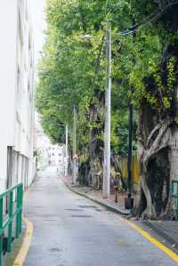 澳門環島路暴走攻略｜避開人潮小眾路線！