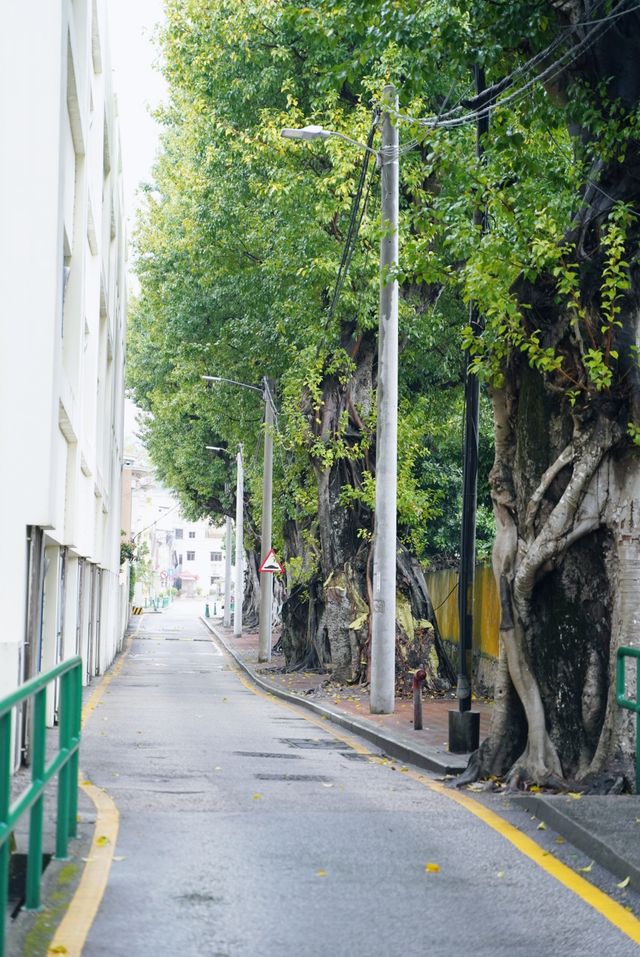 澳門環島路暴走攻略｜避開人潮小眾路線！