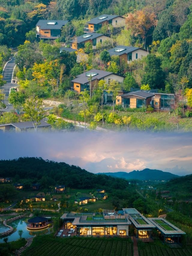 值得N刷的親子遛娃樂園莫干山開元森泊