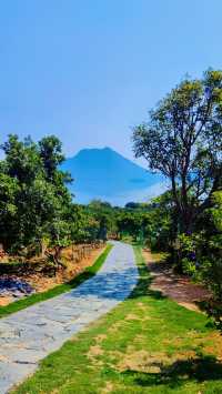 香山的行山路線適合新手嗎？