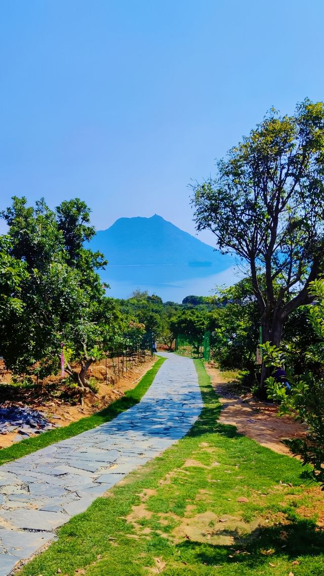 香山的行山路線適合新手嗎？