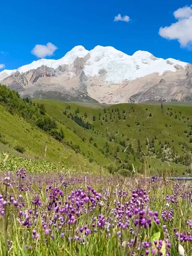 五月的格聶神山│闖入現實版童話世界，比瑞士更驚艷！！