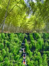 迄今為止，我最喜愛嘅旅遊城市出現喇