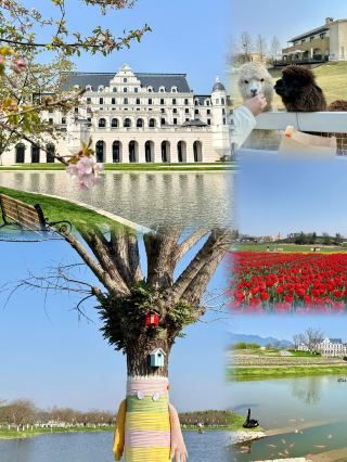 It's not abroad, it's Little Europe in Jinhua!
