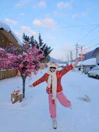 雪谷三天两晚旅游攻略不踩雷  二刷雪谷👍