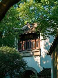 必看！南京旅遊超全不踩雷攻略
