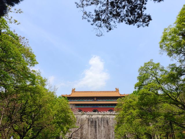剛到南京。。。非常後悔!!!