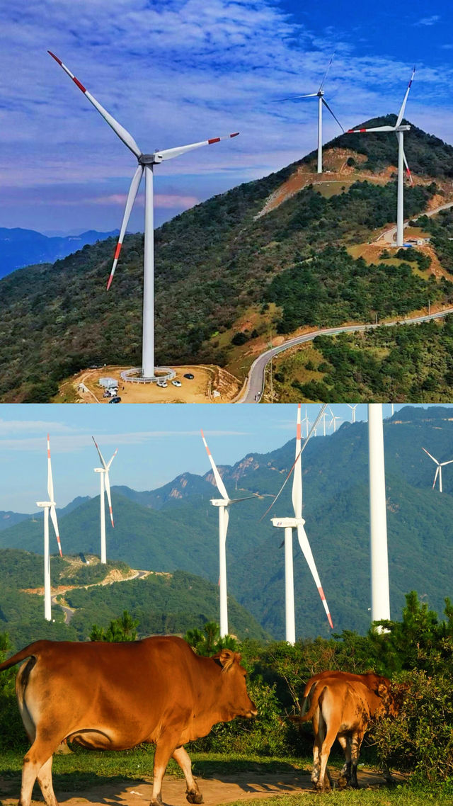 零差評慢節奏的城市，推薦五一出行