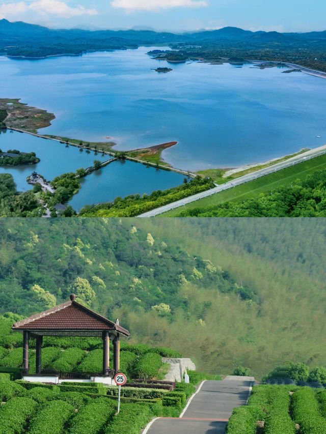 我宣布江蘇宜興就是反向旅行天花板