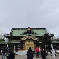 🌸東京上野公園新生｜春日限定的浪漫重啟🌿