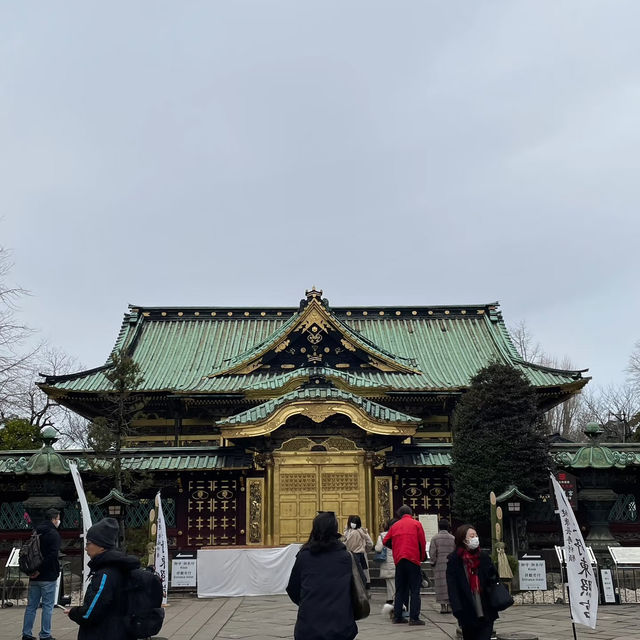 🌸東京上野公園新生｜春日限定的浪漫重啟🌿