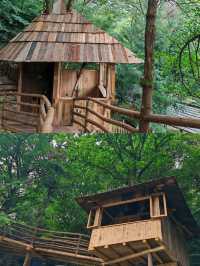 喺雅安想無限續住嘅民宿，好治癒