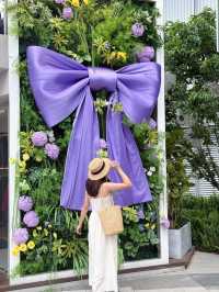 5.1喺昆明一定要影嘅藍花楹