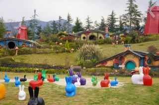 New Project, New Experience: Enjoying the Lijiang Eternal Love Show