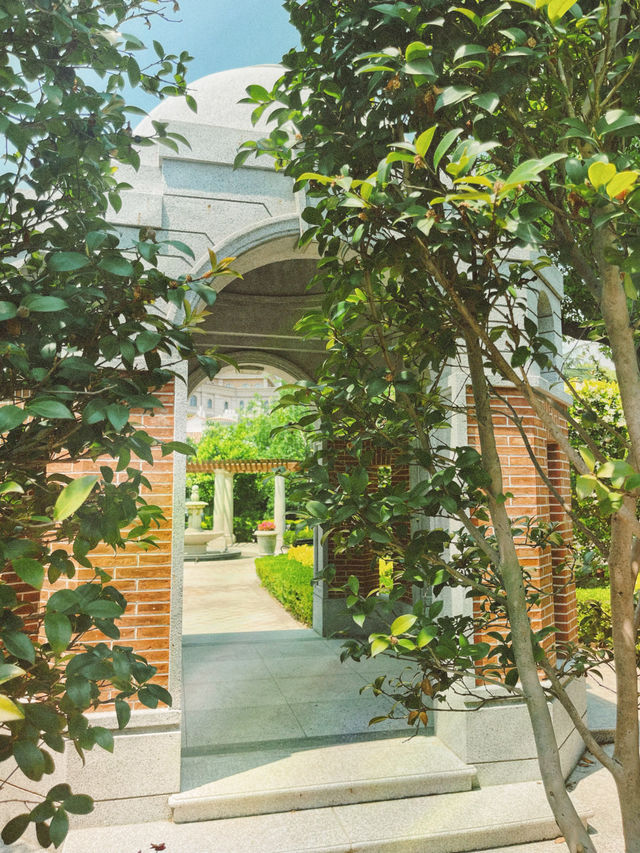 推開興國賓館門，我撞進百年老樹嘅歲月臂彎