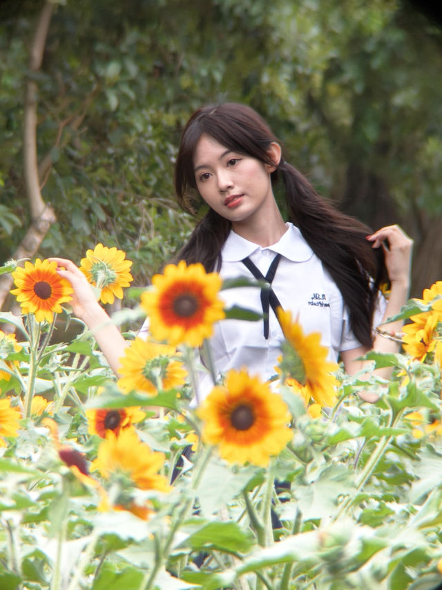 深圳寶子們快看！市民中心藏了片「現實版陽光畫布」🌻✨五一假期誤闖這片向日葵花海，直接被美到走不動路！