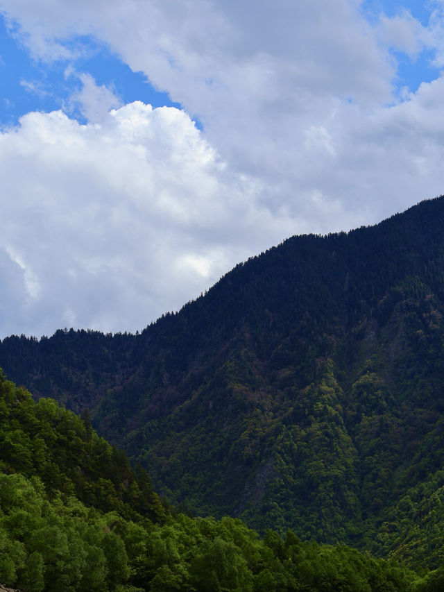 各位朋友！夏天嘅川西旅行天花板又有新玩法啦！
