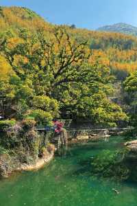 江浙滬徒步  一幅優美嘅富春山居圖