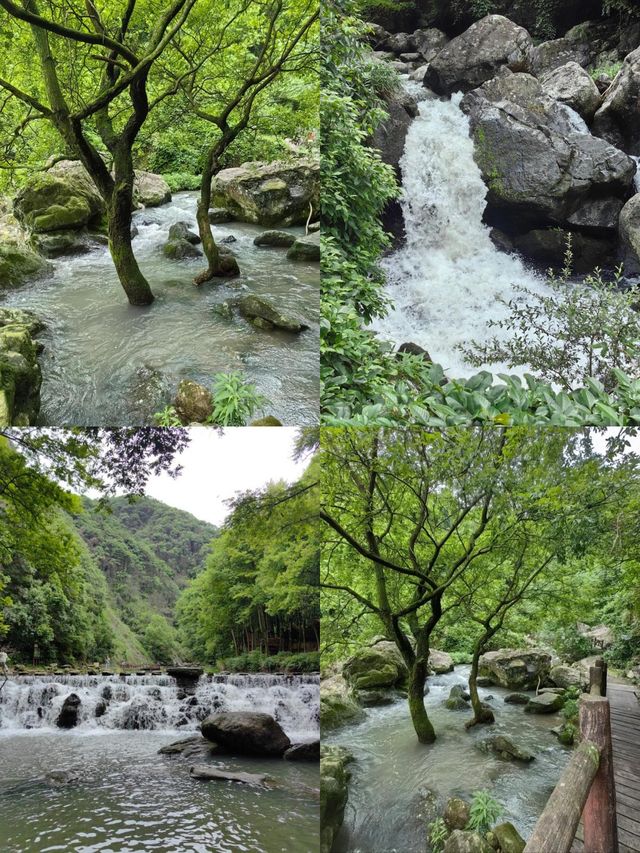 浦江暑假兩日漫遊