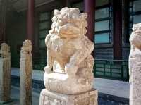 From Art to History: Jinan’s Free Museum Days Revealed