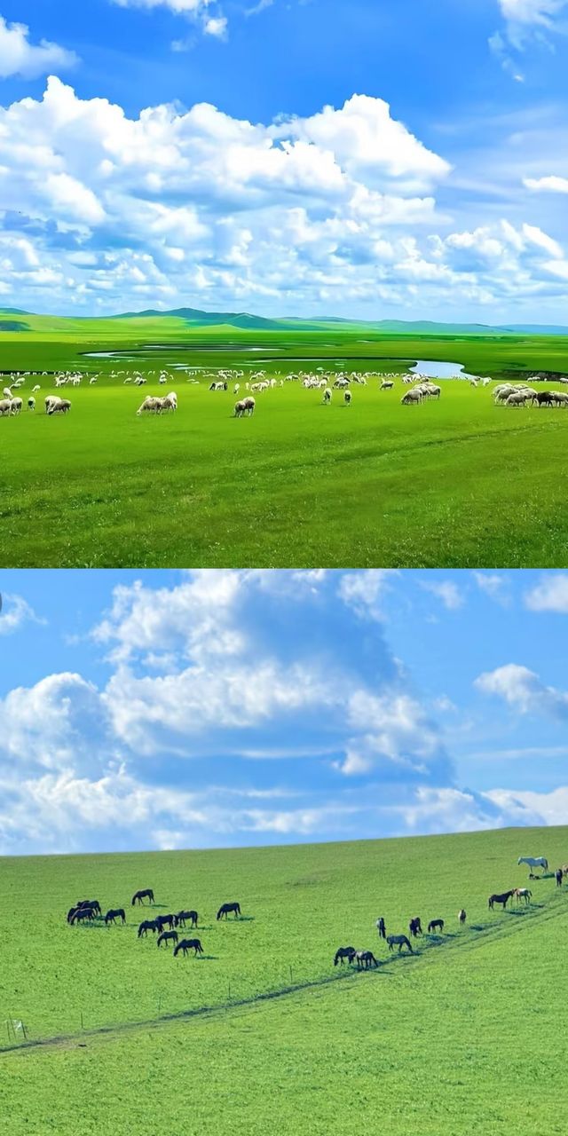 與呼倫貝爾一場心動的約會吧！