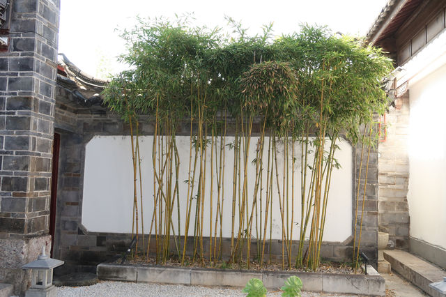 麗江泊心雲舍文苑·納西小院：邂逅民族風嘅詩意棲居
