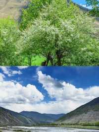 畢業旅行第一站：川西