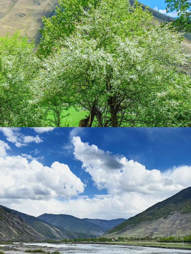 畢業旅行第一站：川西
