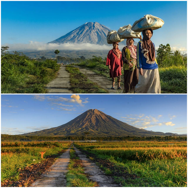 攻略｜布羅莫火山旅遊的其他景點